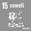 soweli pakala