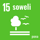 soweli pona